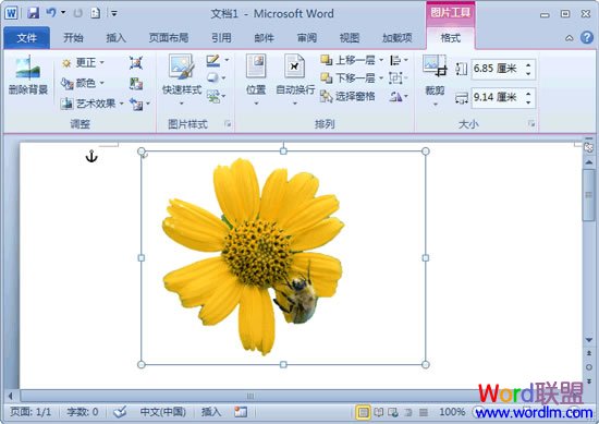 如何刪除word背景  刪除圖片背景 用Word2010就可以輕松搞定