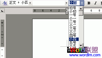 word設(shè)置字體大小 Word2003字體大小的設(shè)置技巧