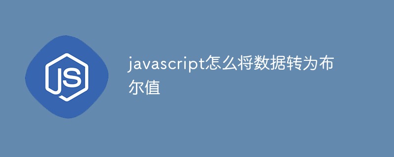 javascript怎么將數(shù)據(jù)轉(zhuǎn)為布爾值