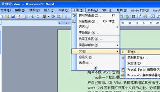 Word宏 Word宏功能介紹和使用