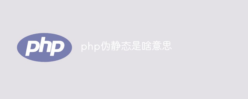 php偽靜態(tài)是啥意思