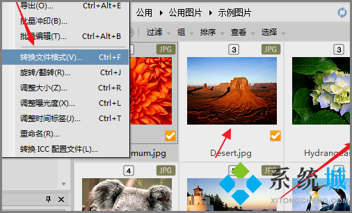 ACDSee怎么壓縮圖片大小 ACDSee格式轉(zhuǎn)換方法