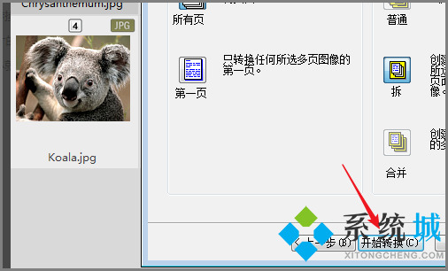 ACDSee怎么壓縮圖片大小 ACDSee格式轉(zhuǎn)換方法