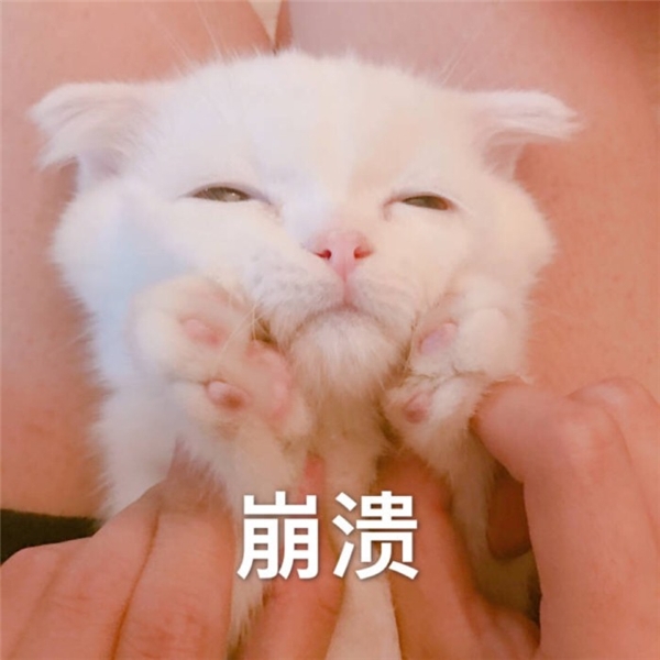 直擊用戶痛點(diǎn)！來(lái)畫這兩個(gè)新神器或?qū)⑻嵘最I(lǐng)80%工作效率