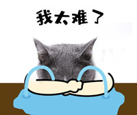 一元搶購IDCC2021大會門票！雙十一狂歡！限時秒殺！