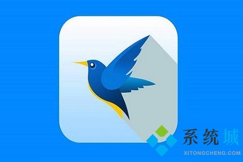 迅雷違規(guī)無(wú)法下載的可以用什么下載 迅雷違規(guī)內(nèi)容無(wú)法下載的解決方法