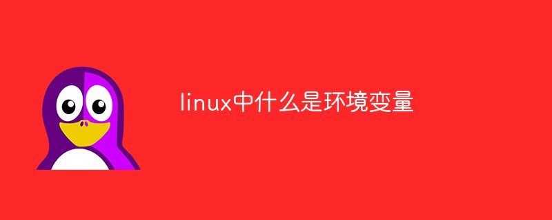 linux中什么是環(huán)境變量