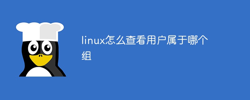 linux怎么查看用戶屬于哪個組