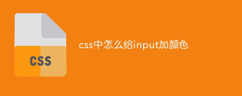 css中怎么給input加顏色