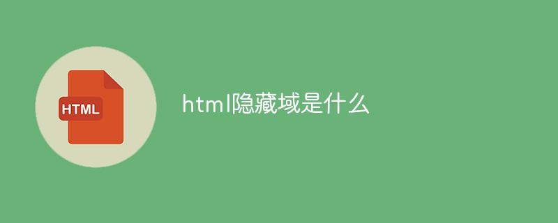 html隱藏域是什么
