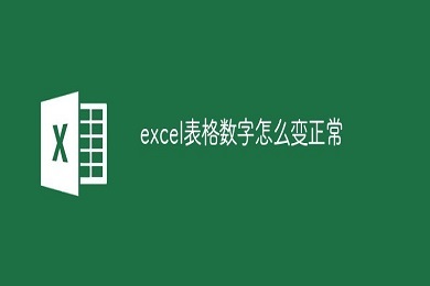 excel表格數(shù)字怎么變成正常數(shù)字 excel表格數(shù)字正常顯示的方法