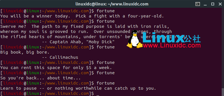 12個讓您震撼的Linux終端命令