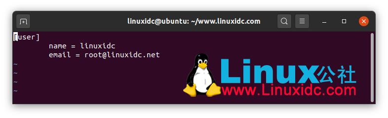 如何在Ubuntu 20.04上安裝Git