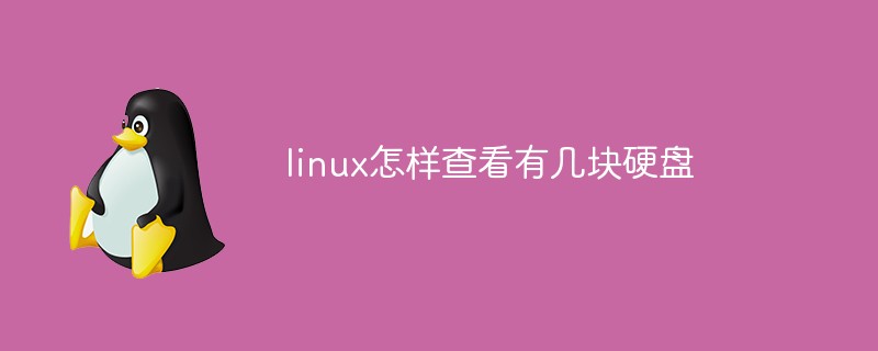 linux怎樣查看有幾塊硬盤