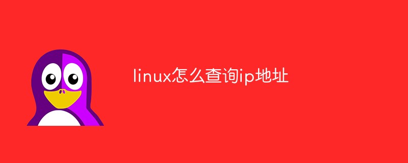linux怎么查詢ip地址