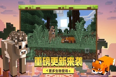 我的世界旁觀者模式指令是什么 我的世界如何切換旁觀者模式