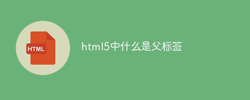 html5中什么是父標簽