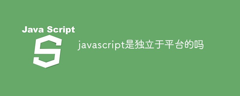 javascript是獨(dú)立于平臺(tái)的嗎