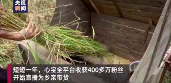 抖音電商里的90后女孩，幫助家鄉(xiāng)上千萬山貨上頭條