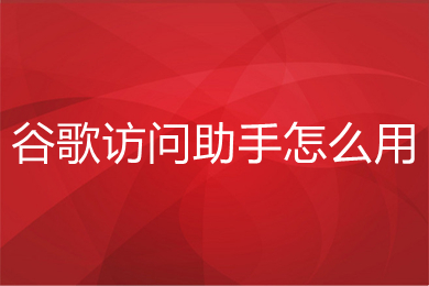 谷歌訪問助手怎么用 谷歌訪問助手的詳細(xì)使用教程