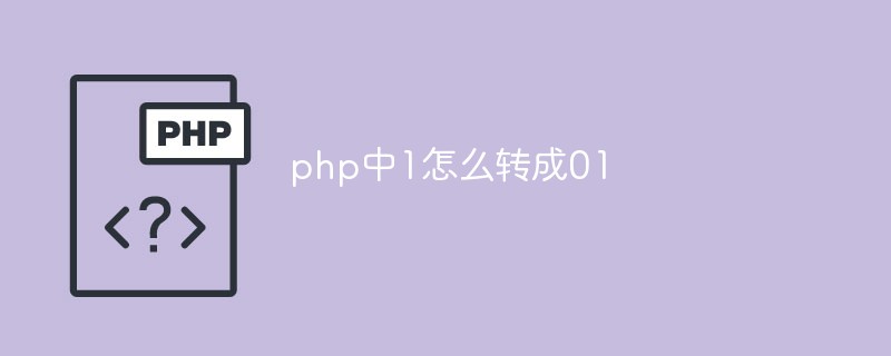 php中1怎么轉(zhuǎn)成01