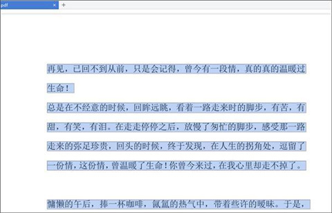 怎么把pdf文件轉(zhuǎn)換成word 把pdf文件轉(zhuǎn)換成word的方法