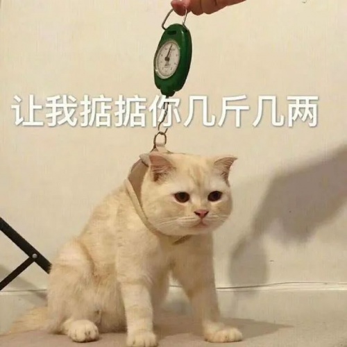 【實驗室】安卓與iOS性能全方位PK，能打得過嗎？