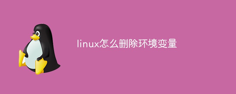 linux怎么刪除環(huán)境變量