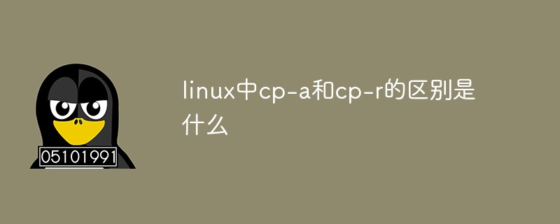 linux中cp-a和cp-r的區(qū)別是什么