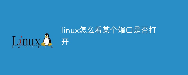 linux怎么看某個端口是否打開