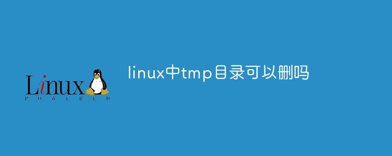 linux中tmp目錄可以刪嗎