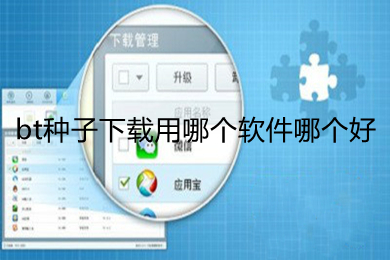 bt種子下載用哪個軟件哪個好 bt種子下載好用的軟件推薦
