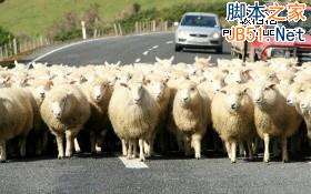處理網(wǎng)頁(yè)圖片最常見的10個(gè)錯(cuò)誤及解決方案
