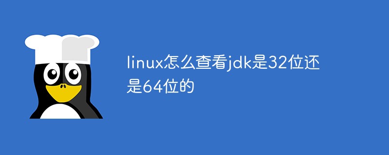 linux怎么查看jdk是32位還是64位的