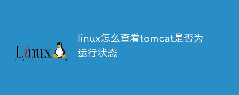 linux怎么查看tomcat是否為運行狀態(tài)