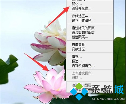 PS羽化快捷鍵是什么 PS羽化快捷鍵用不了怎么辦