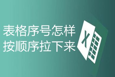 表格序號(hào)怎樣按順序拉下來 表格自動(dòng)排序123456的設(shè)置方法