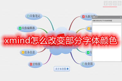 xmind怎么改變部分字體顏色 xmind改變部分字體顏色的方法
