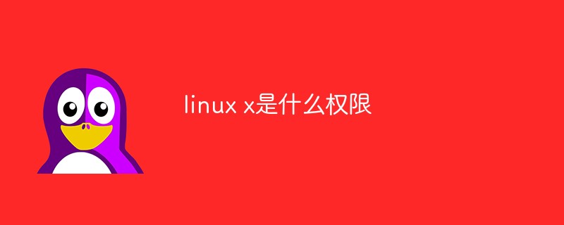 linux x是什么權(quán)限