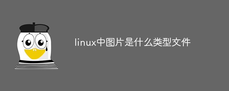 linux中圖片是什么類型文件