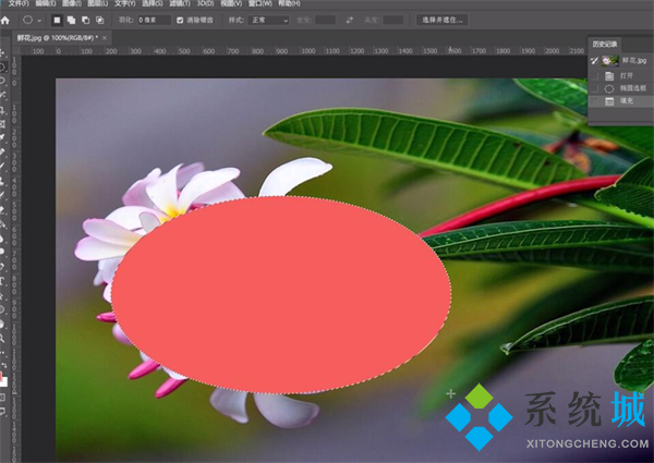 ps撤銷快捷鍵是什么 蘋果電腦ps撤銷快捷鍵是什么