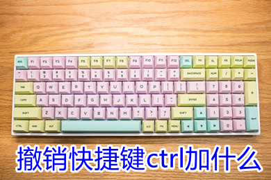 撤銷快捷鍵ctrl加什么 excel取消撤銷快捷鍵ctrl加什么