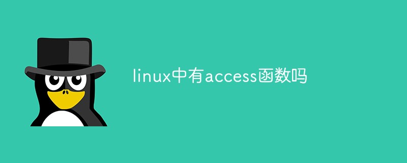 linux中有access函數(shù)嗎