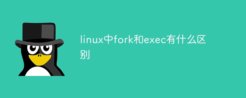 linux中fork和exec有什么區(qū)別