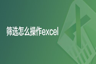 篩選怎么操作excel excel中篩選操作方法介紹
