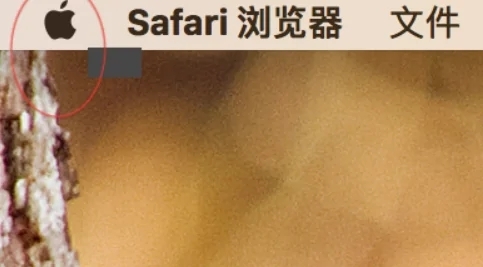 蘋果電腦怎么看內(nèi)存 如何查看蘋果電腦內(nèi)存大小