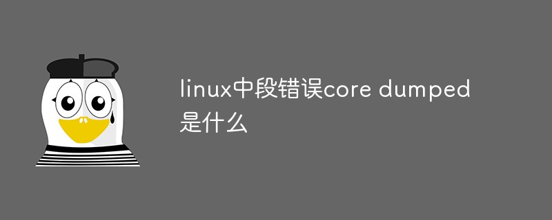linux中段錯誤core dumped是什么