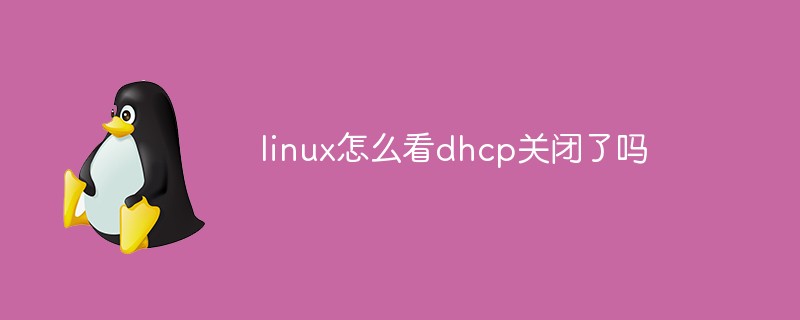 linux怎么看dhcp關(guān)閉了嗎