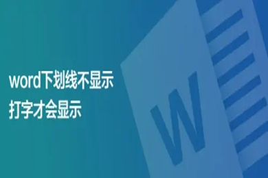 word下劃線不顯示,打字才會顯示 Word怎么打下劃線