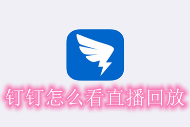 釘釘怎么看直播回放 釘釘直播回放查看方法